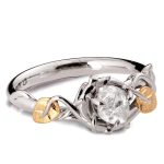 3 RDM482 Raw WY (Copy)