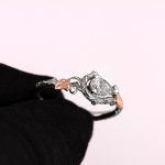 RDM479 A5 Diamond PTR