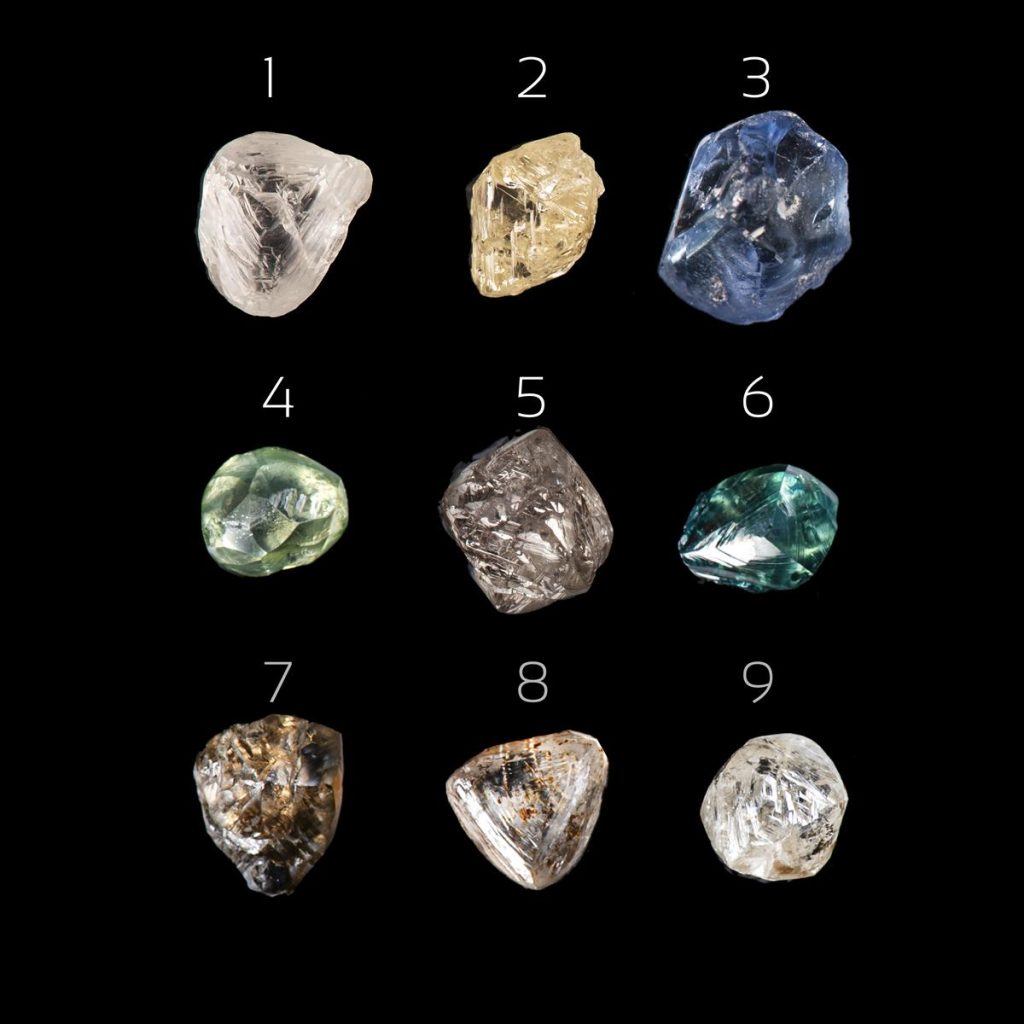 RDM246 RDM248 HP 15.4.26